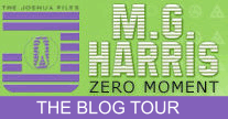 Zero Moment Blog Tour