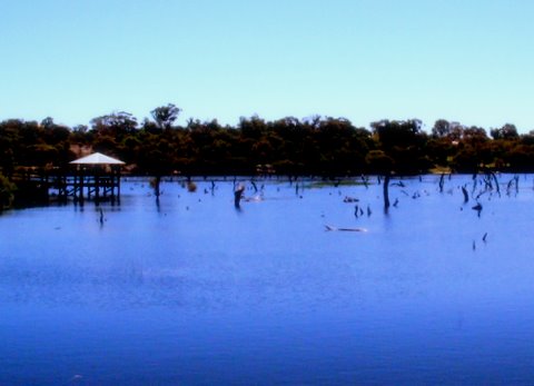 sany0643.JPG